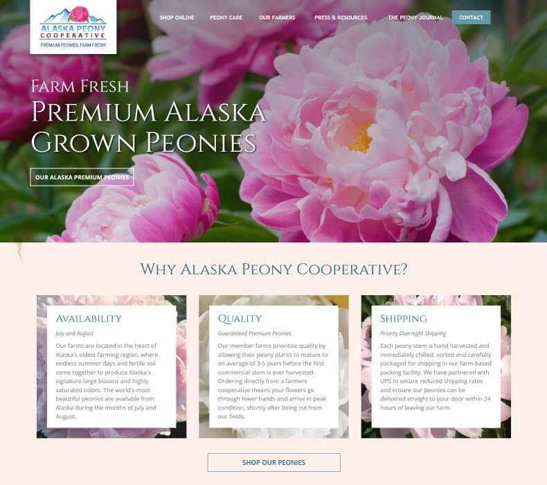Affordable Website Design